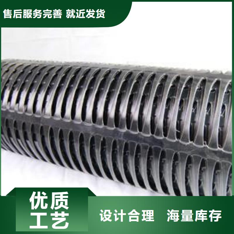 双向塑料土工格栅【三维植被网】品质优选当地制造商