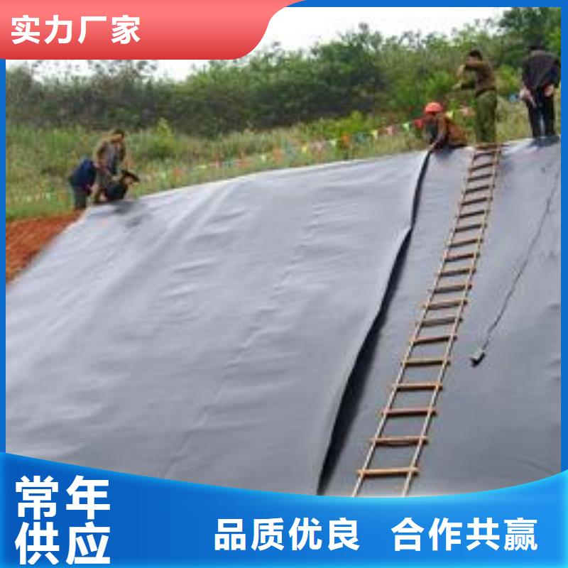 土工膜双向塑料土工格栅一站式采购方便省心自有厂家