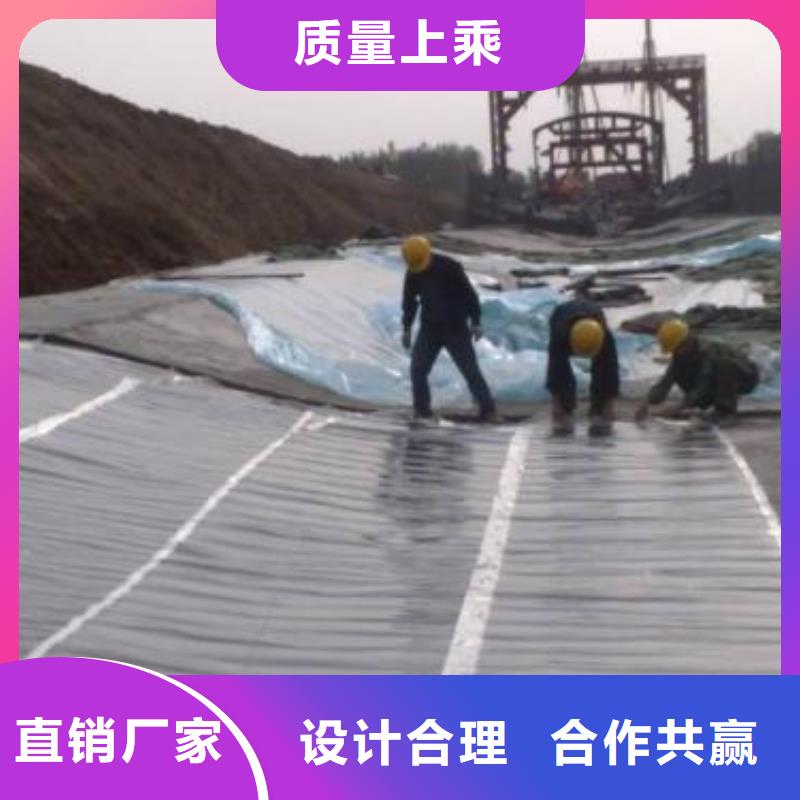 【土工膜】三维复合排水网专业品质闪电发货