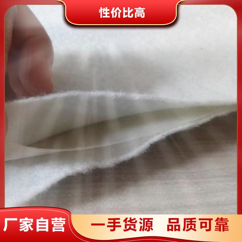 400g土工膜养殖防渗土工膜规格齐全实力大厂家