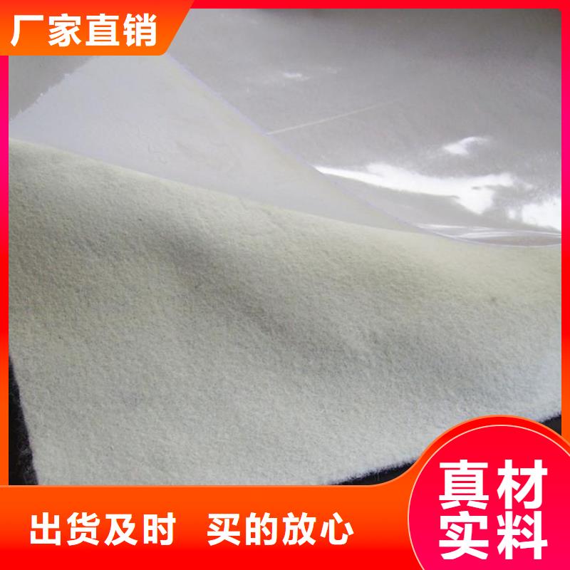 琼海市河道用防渗土工膜源厂直销