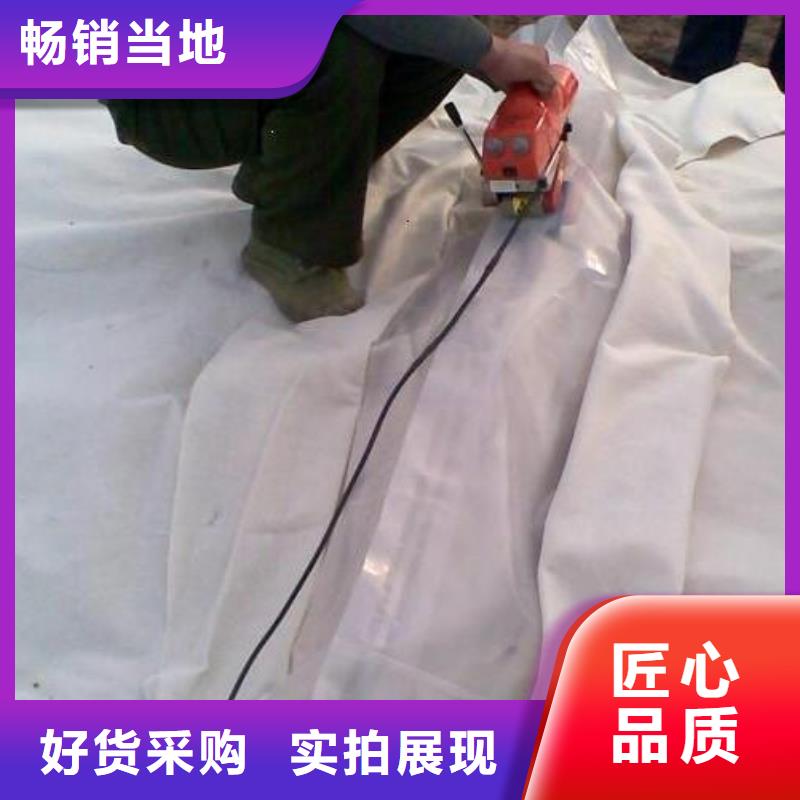 土工膜,【三维植被网】供货及时厂家定制