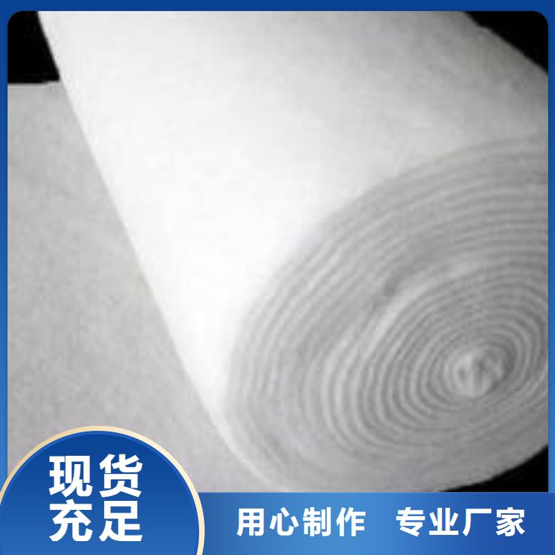 土工布_单向塑料土工格栅畅销当地大厂家实力看得见