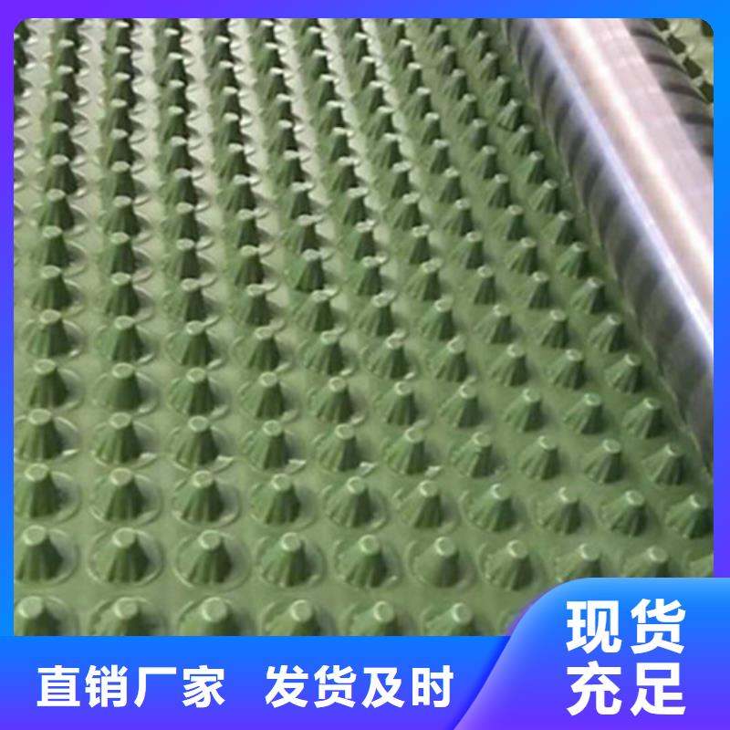【蓄排水板】水土保护毯大厂生产品质本地公司