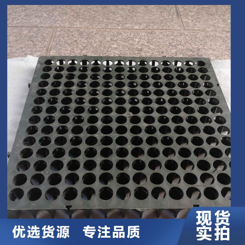 蓄排水板护坡土工网检验发货同城经销商