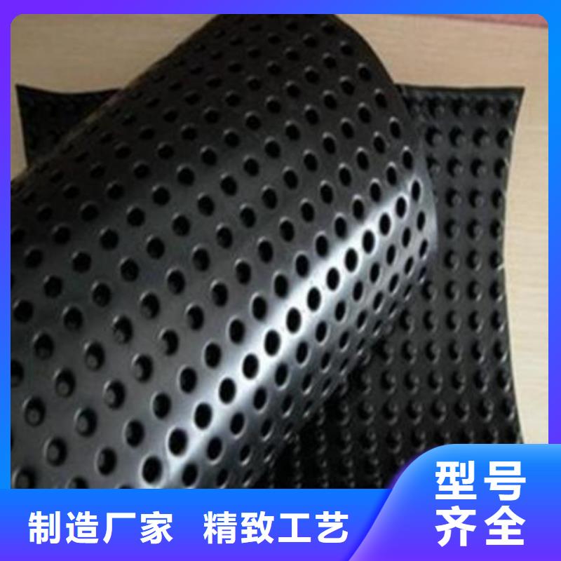 【蓄排水板土工席垫从源头保证品质】种类丰富