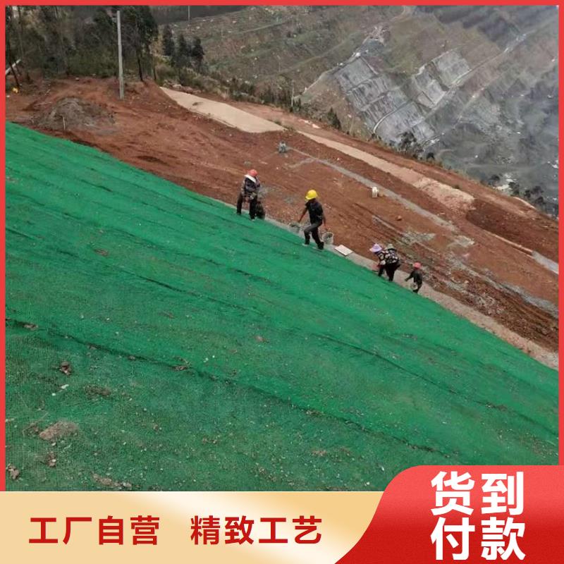 沼气膜防渗膜实力厂家‘货源充足