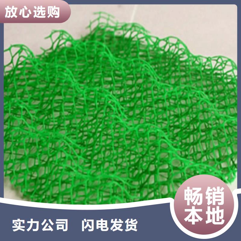 三维植被网加筋土工网垫EM3型植被网护坡加筋安心购