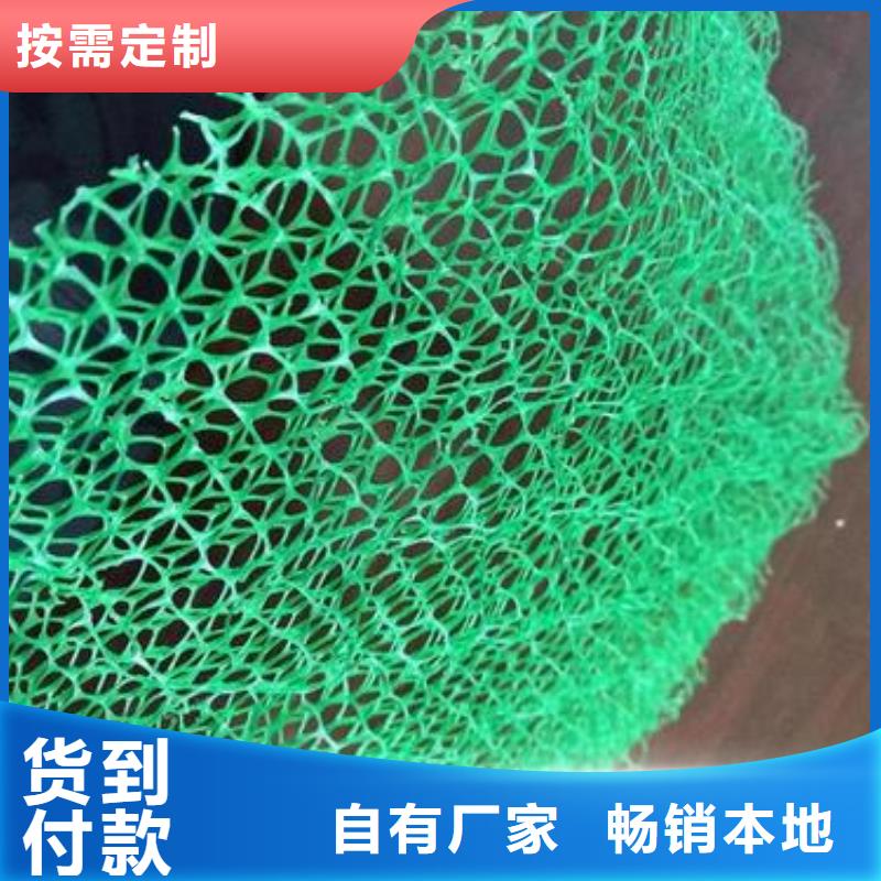 三维植被网厂家植被网看厂家放心得选择