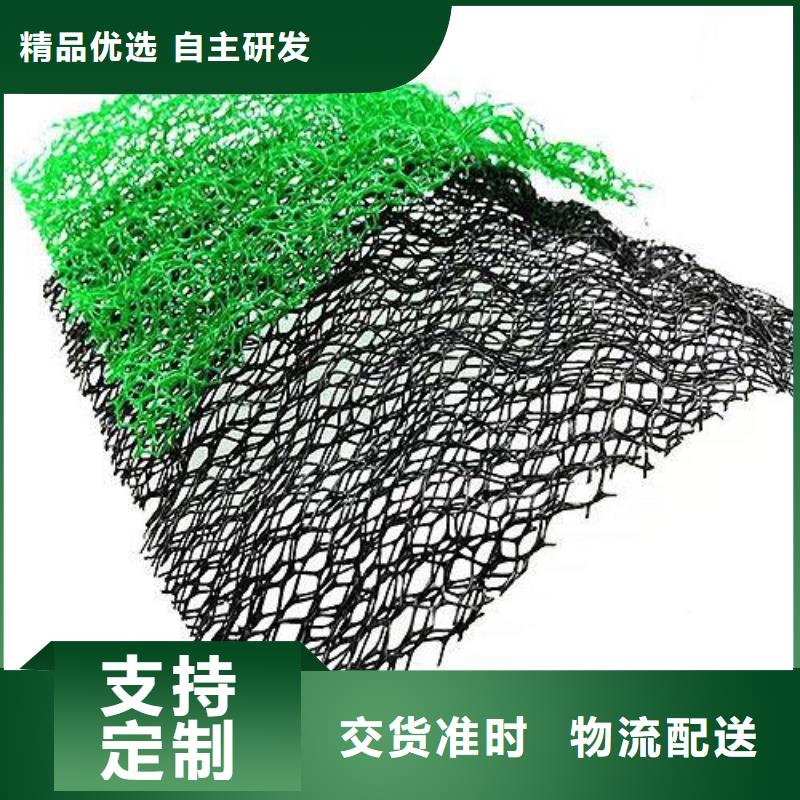 三维植被网,三维复合排水网满足您多种采购需求当地供应商
