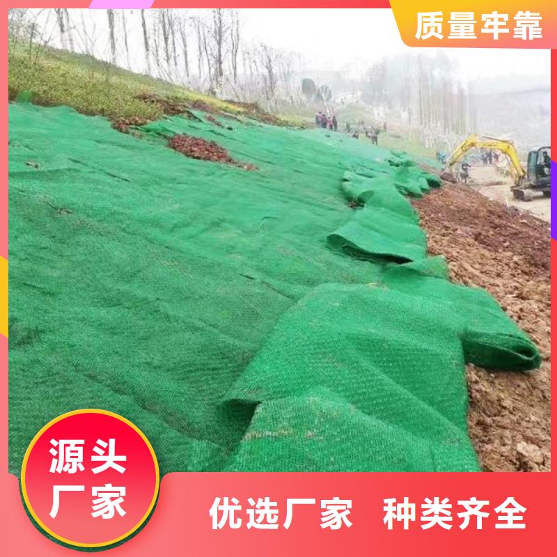 绿色环保，施工简便三维植被网厂家直销规格齐全