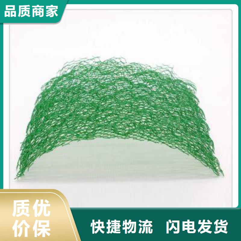 三维植被网植草护坡打造好品质