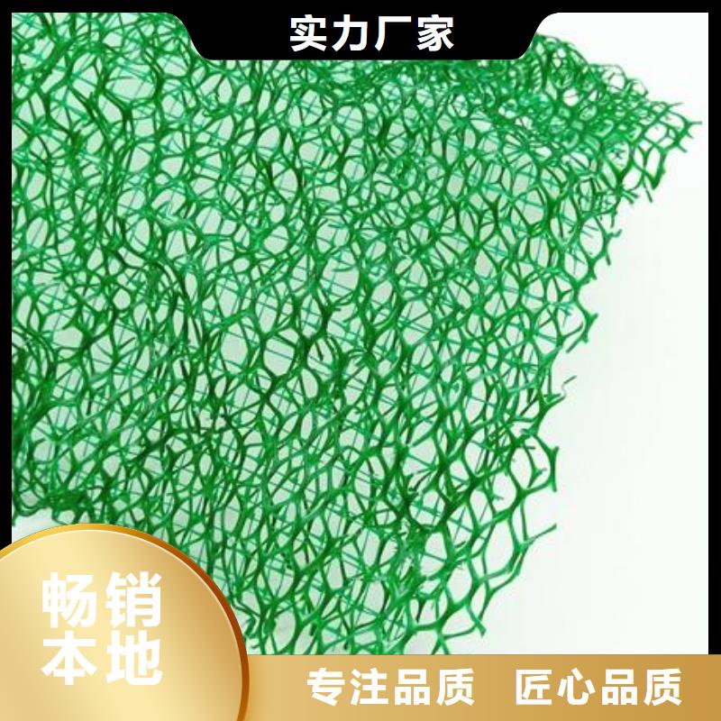 EM3三维土工网垫厂家本地厂家