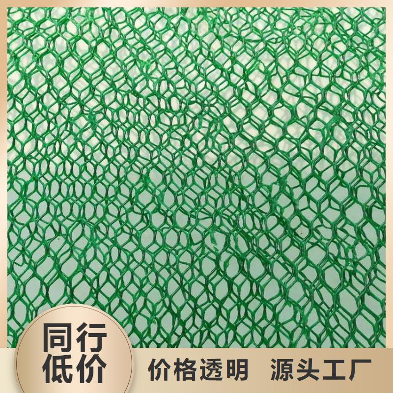 【三维植被网】三维复合排水网一站式采购选择大厂家省事省心