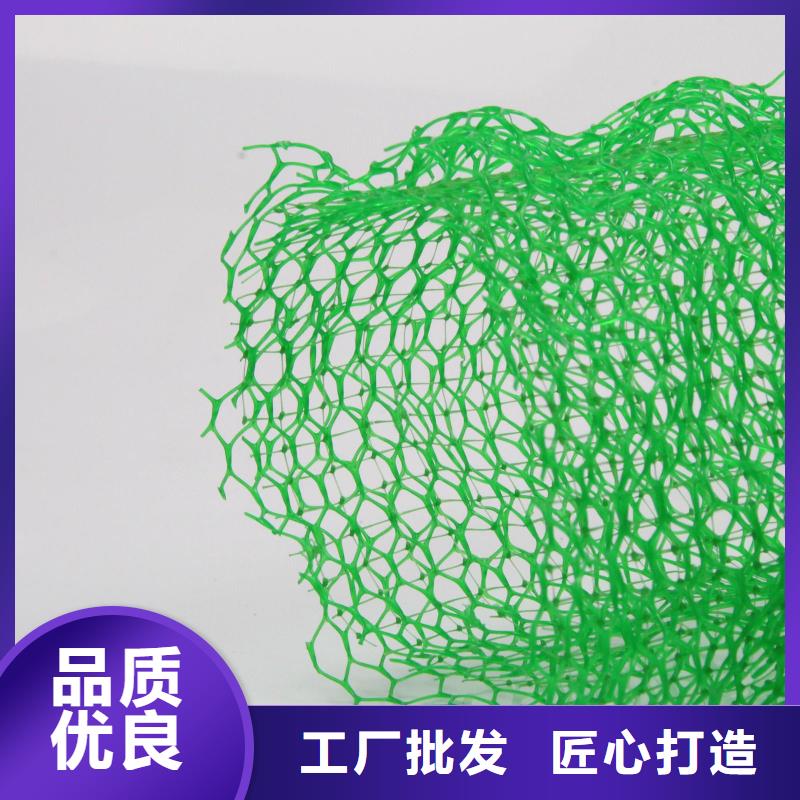 三维植被网加筋土工网垫EM2植被网护坡加筋厂家直销值得选择