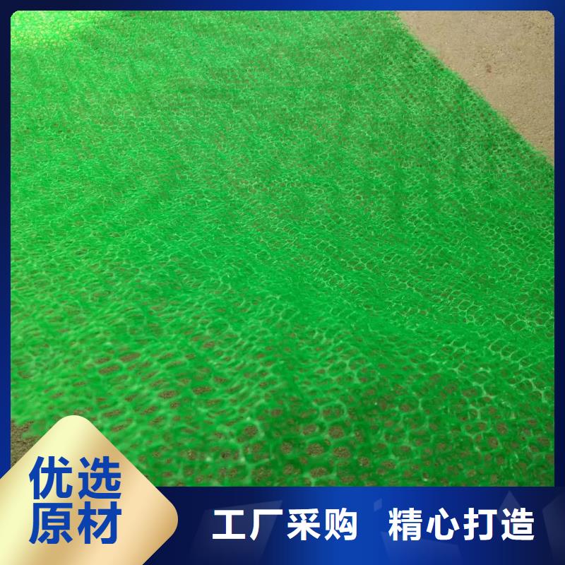 三维植被网三维复合排水网厂家精选生产加工