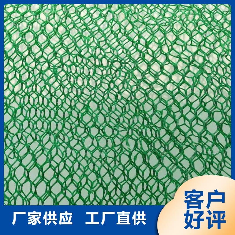 三维植被网厂家供应质量为本