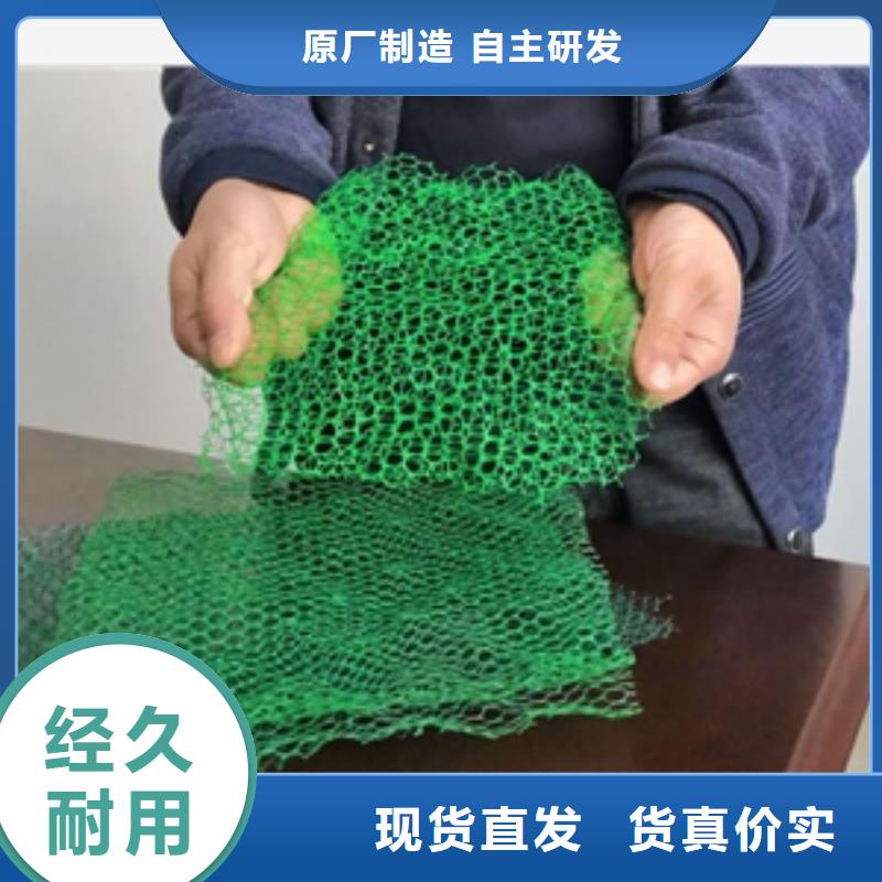 三维植被网植草护坡防紫外线可定制有保障