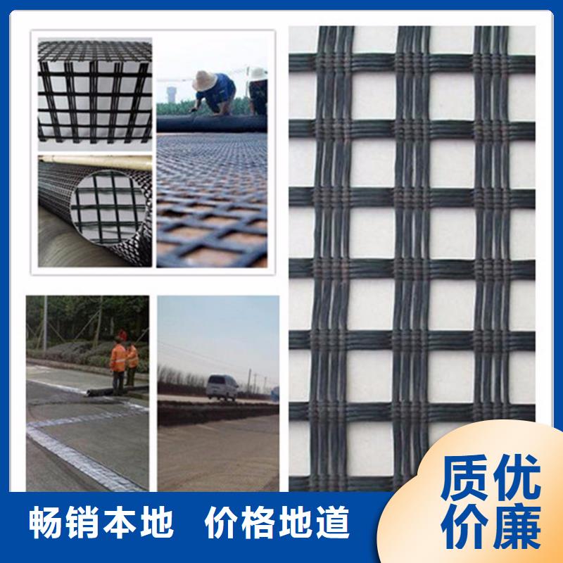玻纤土工格栅_护坡土工网款式新颖本地生产商