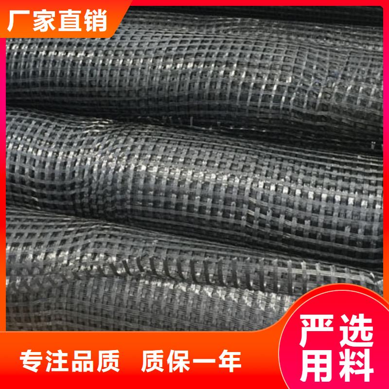 玻纤土工格栅-三维植被网选择大厂家省事省心本地厂家
