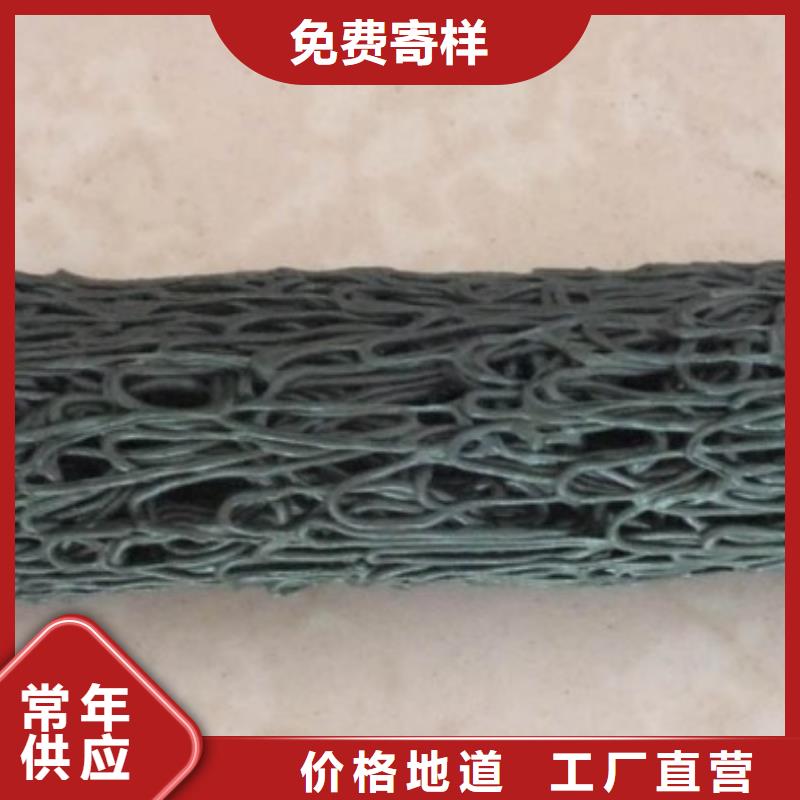 塑料盲沟三维植被网自主研发品类齐全
