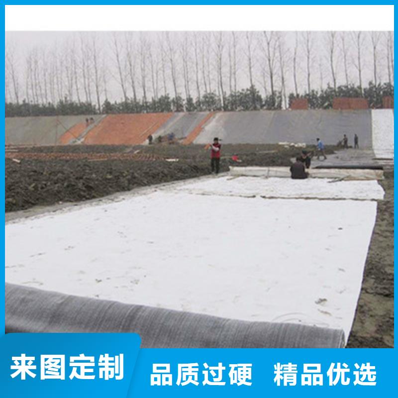 膨润土防水毯_玻纤土工格栅诚信经营本地服务商
