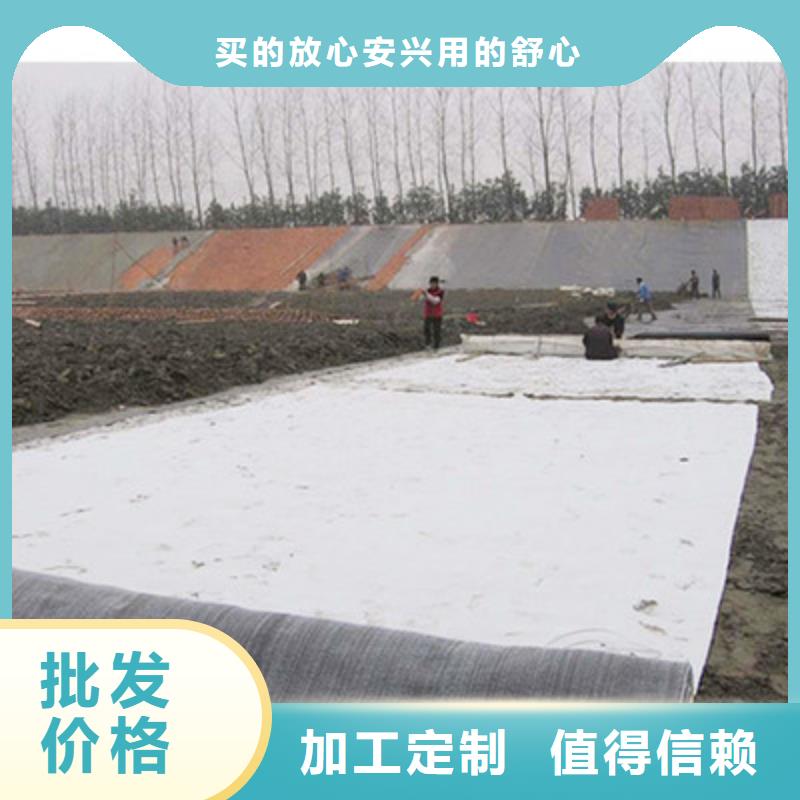 膨润土防水毯-钢塑土工格栅经验丰富质量放心本地品牌