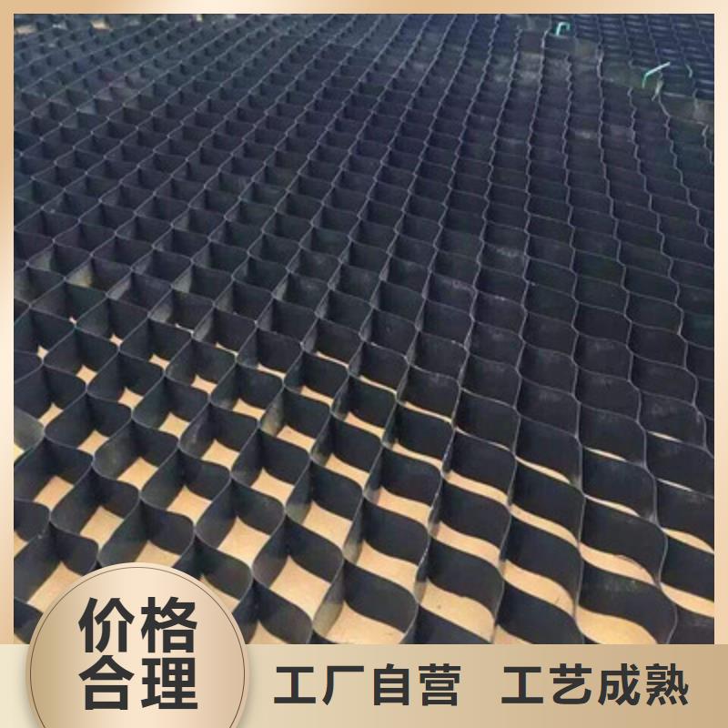 【土工格室护坡土工网细节严格凸显品质】支持定制