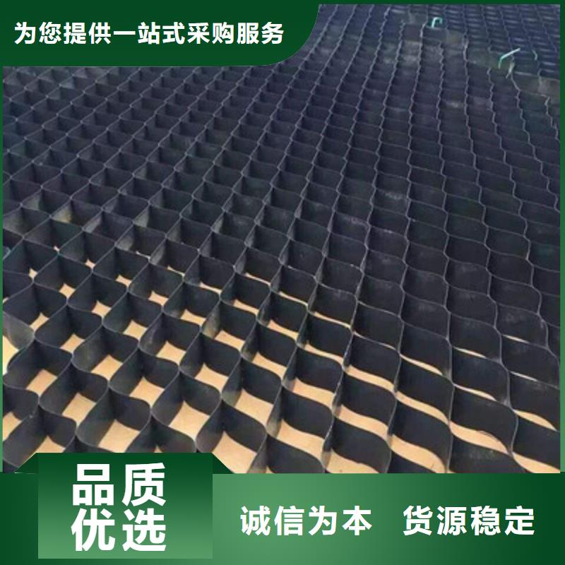 土工格室凸结点钢塑土工格栅厂家实力雄厚选择我们没错