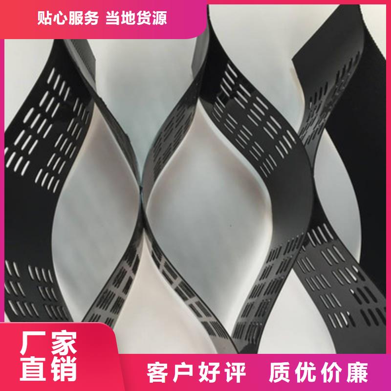 【土工格室】双向拉伸土工格栅实拍品质保障价格实惠