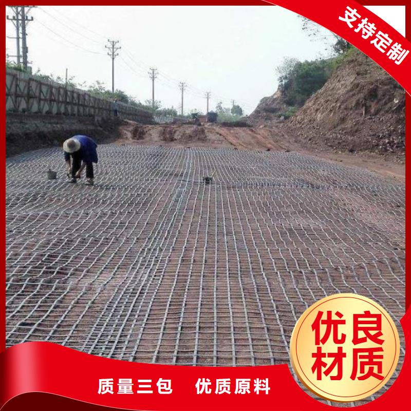 钢塑土工格栅款式新颖同城供应商
