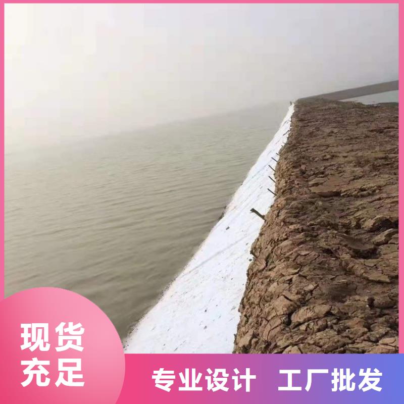 土工布双向塑料土工格栅保质保量源头厂源头货