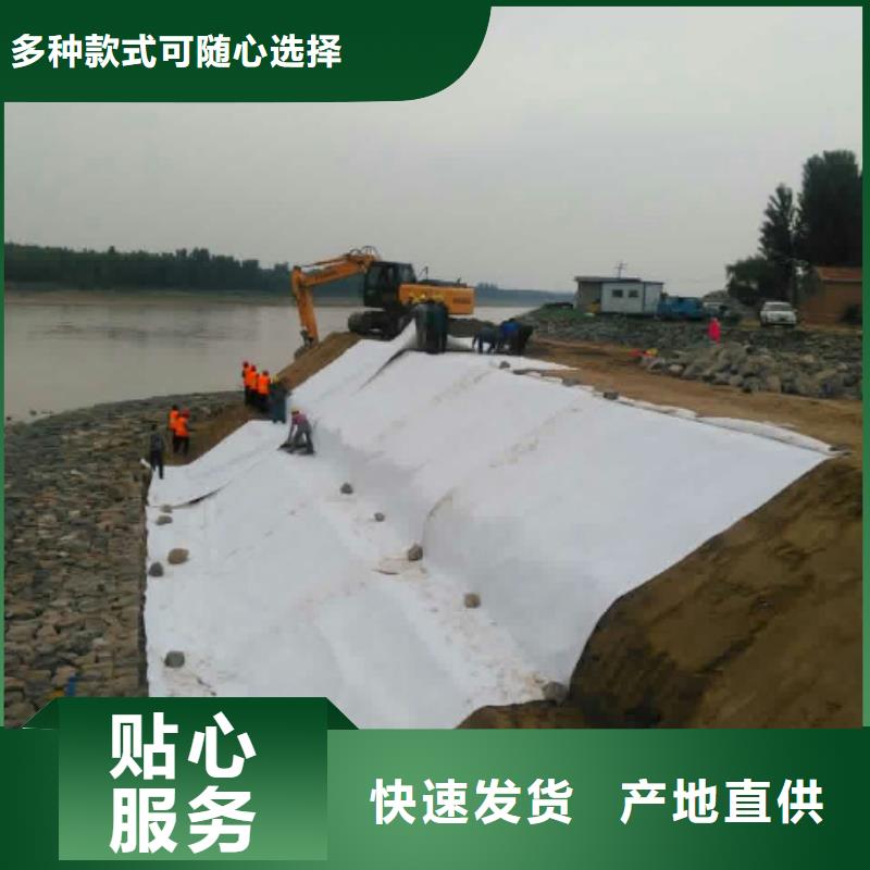 土工布-单向塑料土工格栅实体厂家大量现货当地公司
