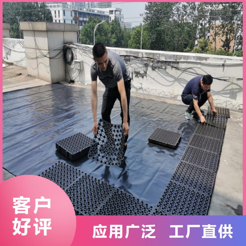 塑料排水板塑料盲沟有实力有经验订购