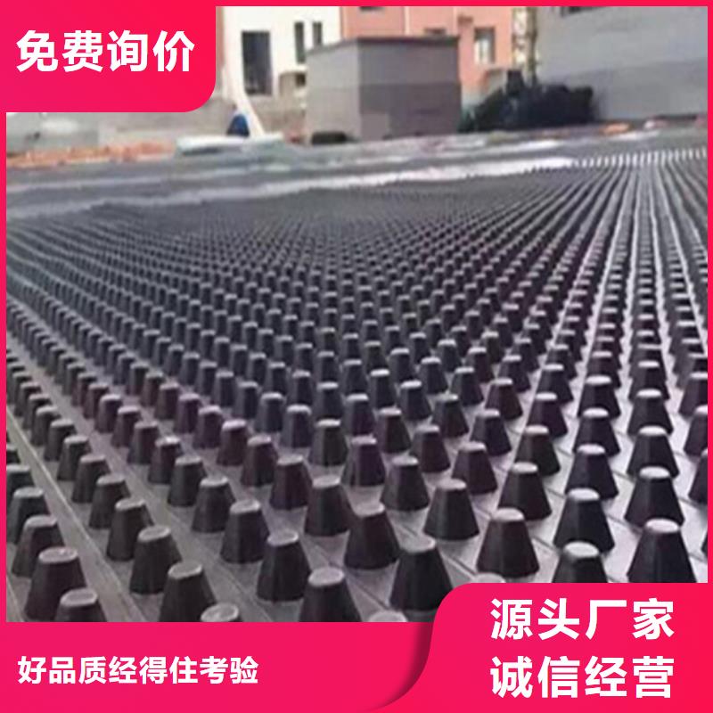 【塑料排水板涤纶土工格栅厂家直销值得选择】本地货源