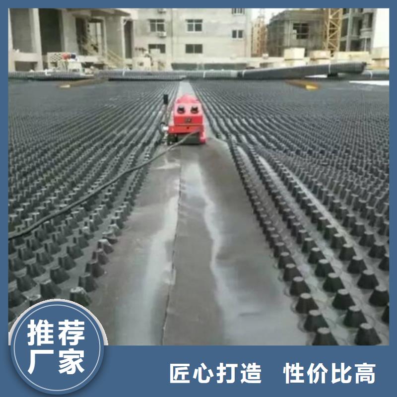 塑料排水板土工布价格自营品质有保障当地公司