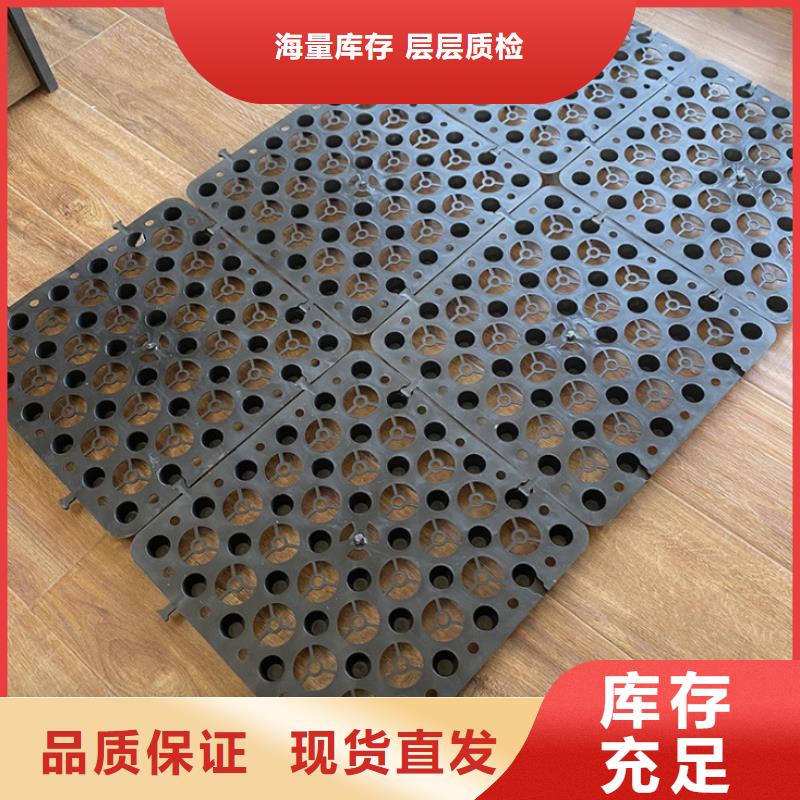 塑料排水板三维水土保护毯满足客户需求产品性能