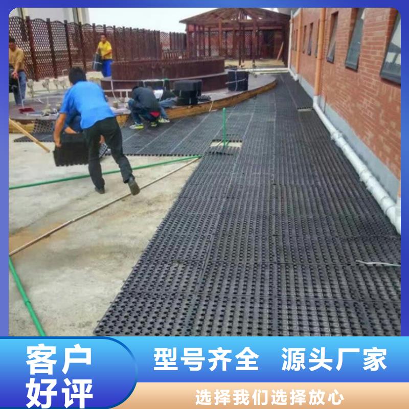 塑料排水板长丝无纺土工布快速发货本地品牌