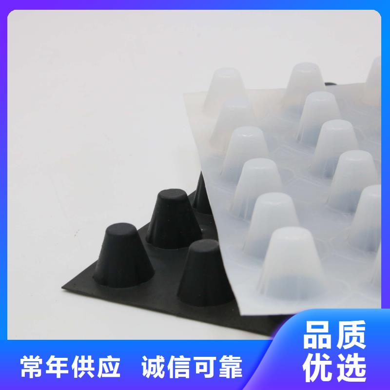 塑料排水板,三维水土保护毯自营品质有保障自主研发