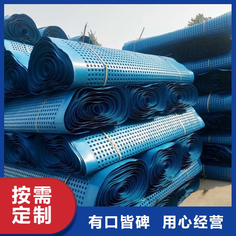 塑料排水板三维水土保护毯N年专注产地直销