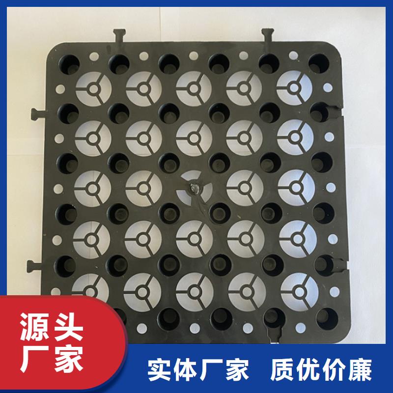 塑料排水板玻璃纤维土工格栅品质保障价格合理当地生产商