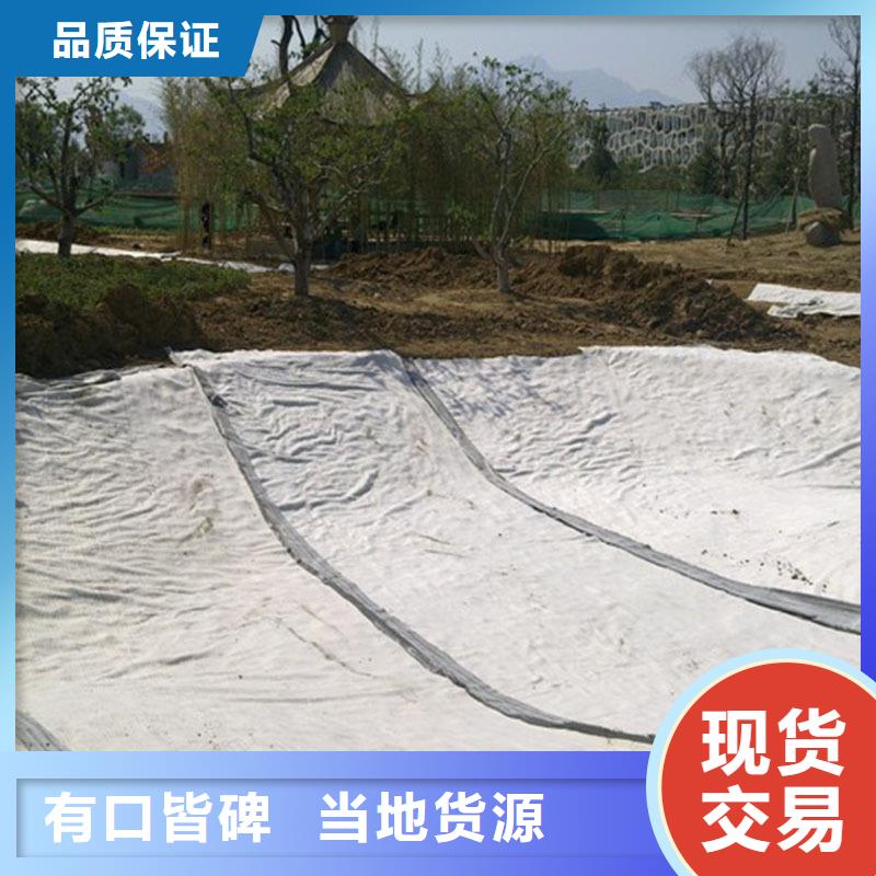防水毯_膨润土防水垫使用寿命长久多行业适用