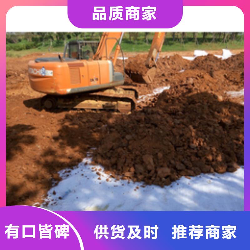 防水毯单向塑料土工格栅追求细节品质厂家质量过硬