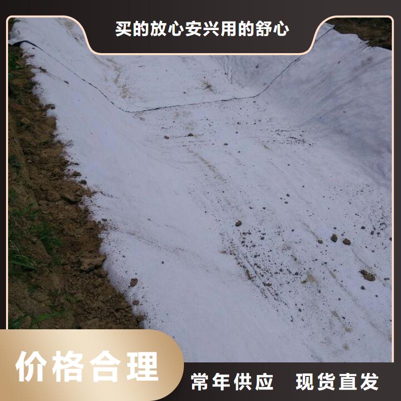 防水毯土工布价格认准大品牌厂家订购