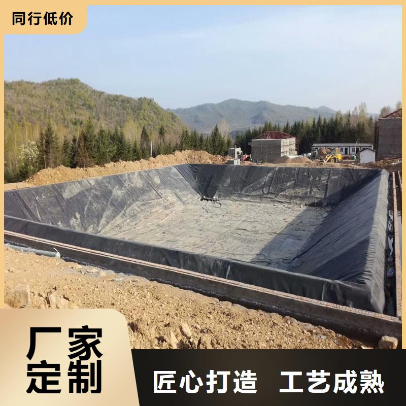 土工膜哪家发货快优质工艺