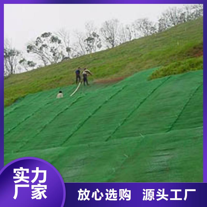 ​三维植被网【钢塑土工格栅厂家】满足客户需求从厂家买售后有保障