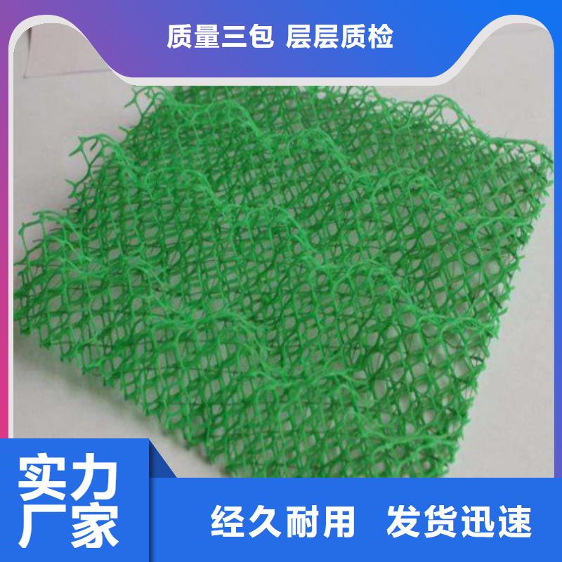 【三维植被网】护坡土工网出货快细节决定品质