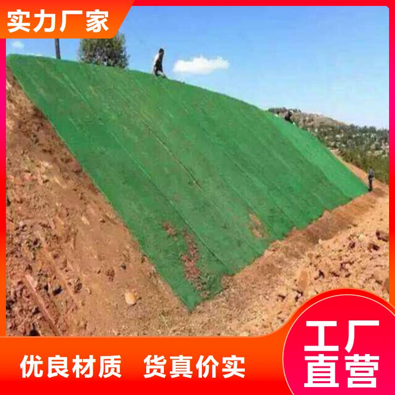 三维植被网钢塑土工格栅用的放心当地货源