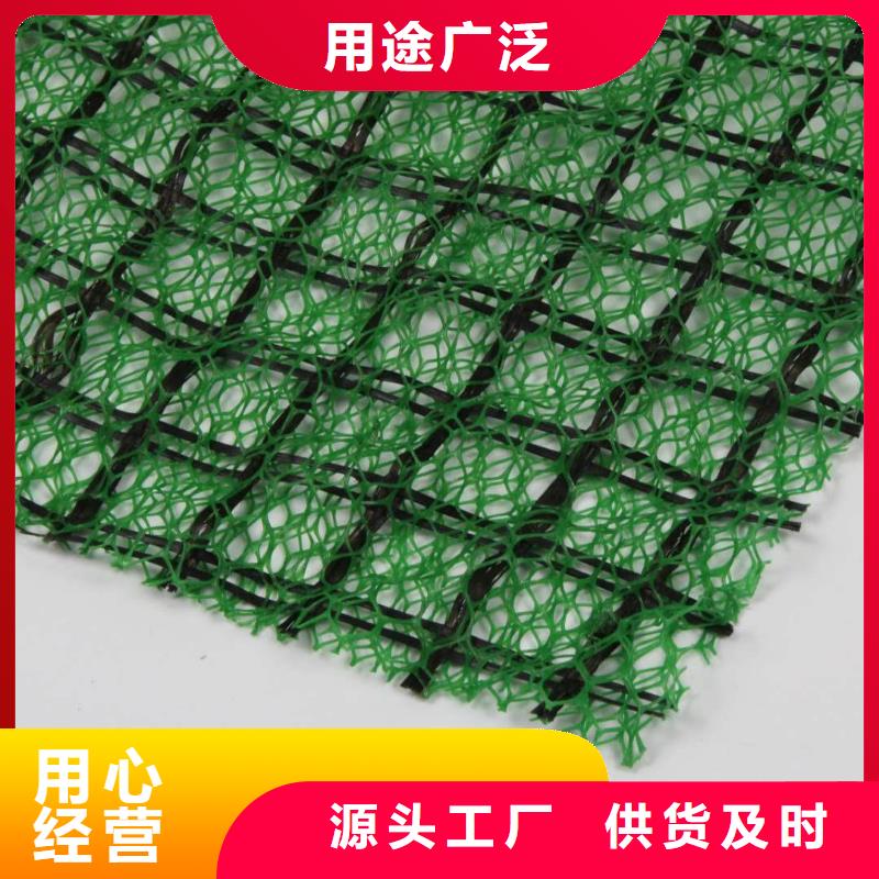 三维植被网玻璃纤维土工格栅厂家供应当地生产厂家