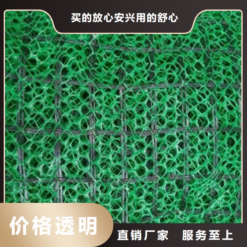三维植被网钢塑土工格栅厂家买的放心安兴用的舒心资质认证